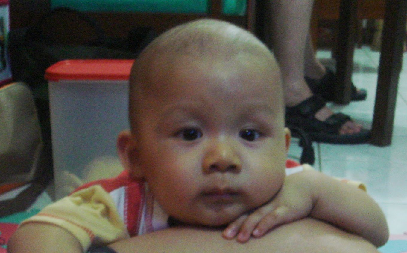 [DSC02610-small.JPG]