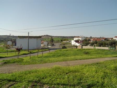 [DSC00001.1.JPG]