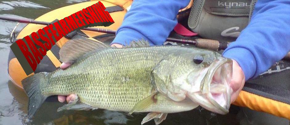 BASSFEARMEFISHING