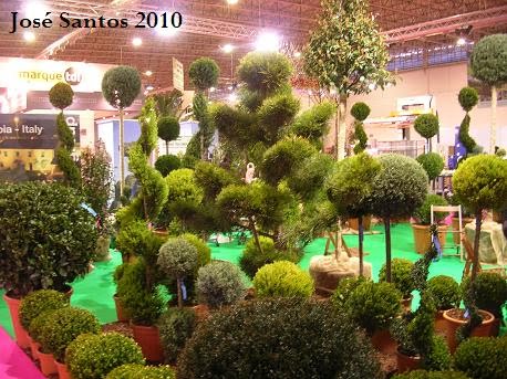 [expojardim2010+7.jpg]