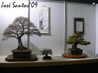 [expojardim09_06.jpg]