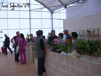 [luso-bonsai_visitajunho.jpg]