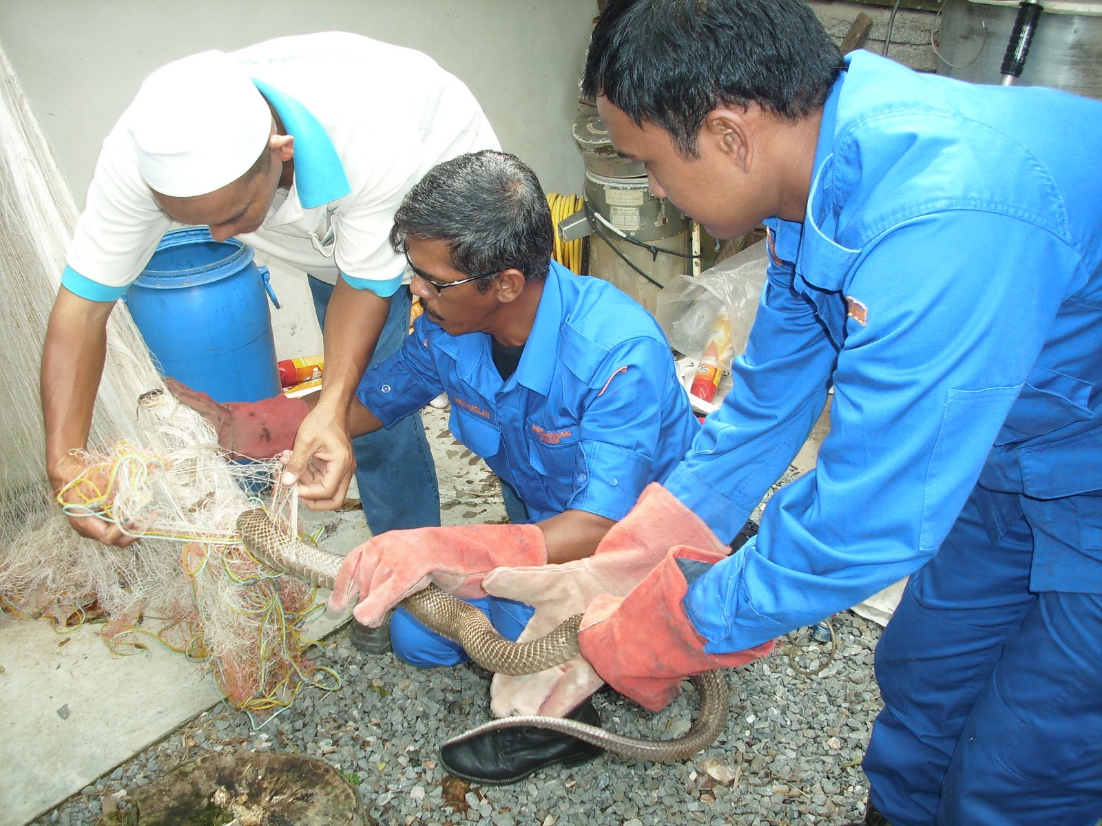 Pukat+hanyut