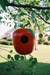 [Apple+Gourd+Birdhouse.jpg]