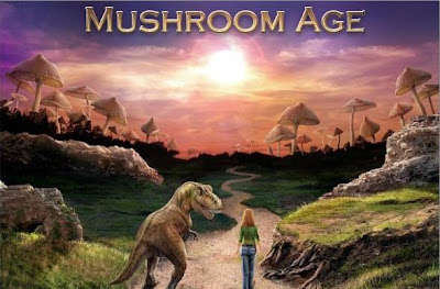 Mushroom Age - Walkthrough, cheats, guide & hints