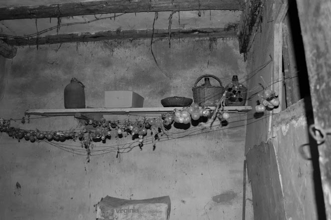 ABRIL 2009: INTERIORS 14