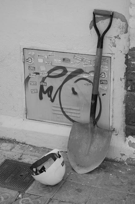MAIG 2009 : ARA TORNO