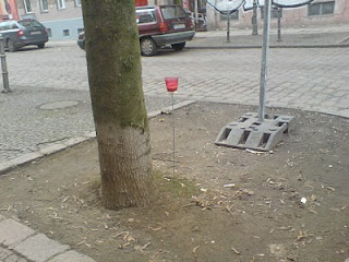 Beton + Garten: Mai 2010