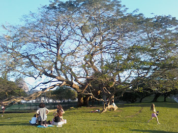 Aterro do Flamengo 1