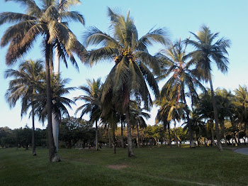 Aterro do Flamengo 2