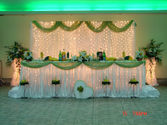 Salonul Alb-Printesa Serii