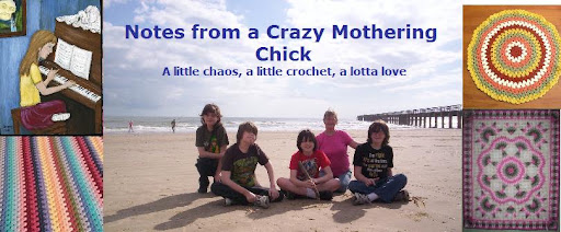 Notes from a Crazy Mothering Chick