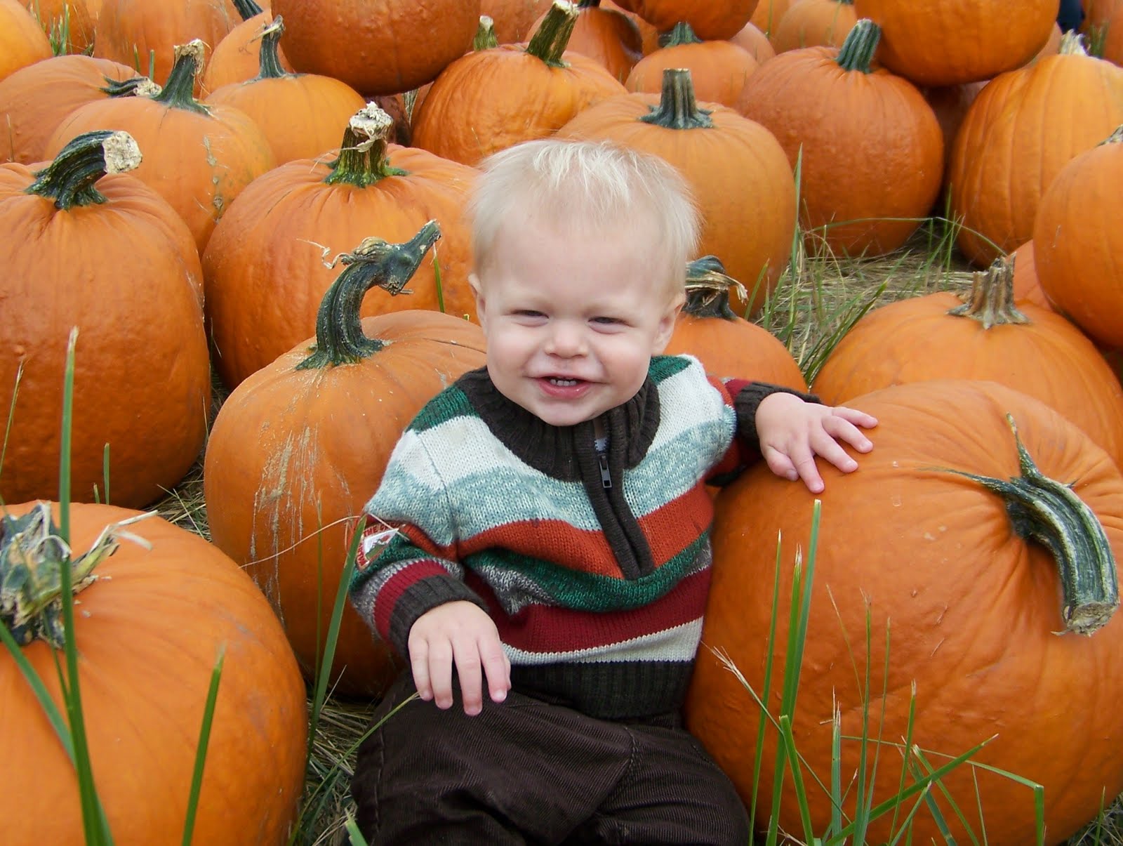 [pumpkins+010.JPG]