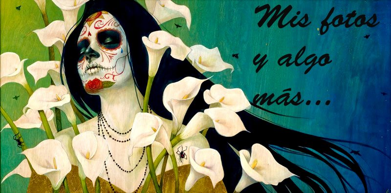 la bella muerte