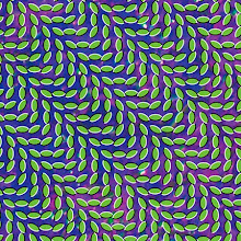 Animal Collective Merri