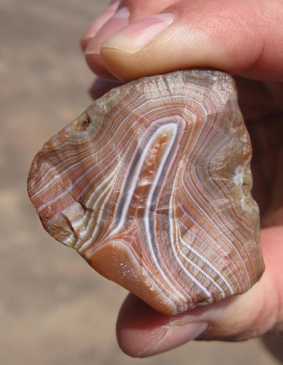 The Agatelady Adventures and Events Moose Lake Agate Days Post 1