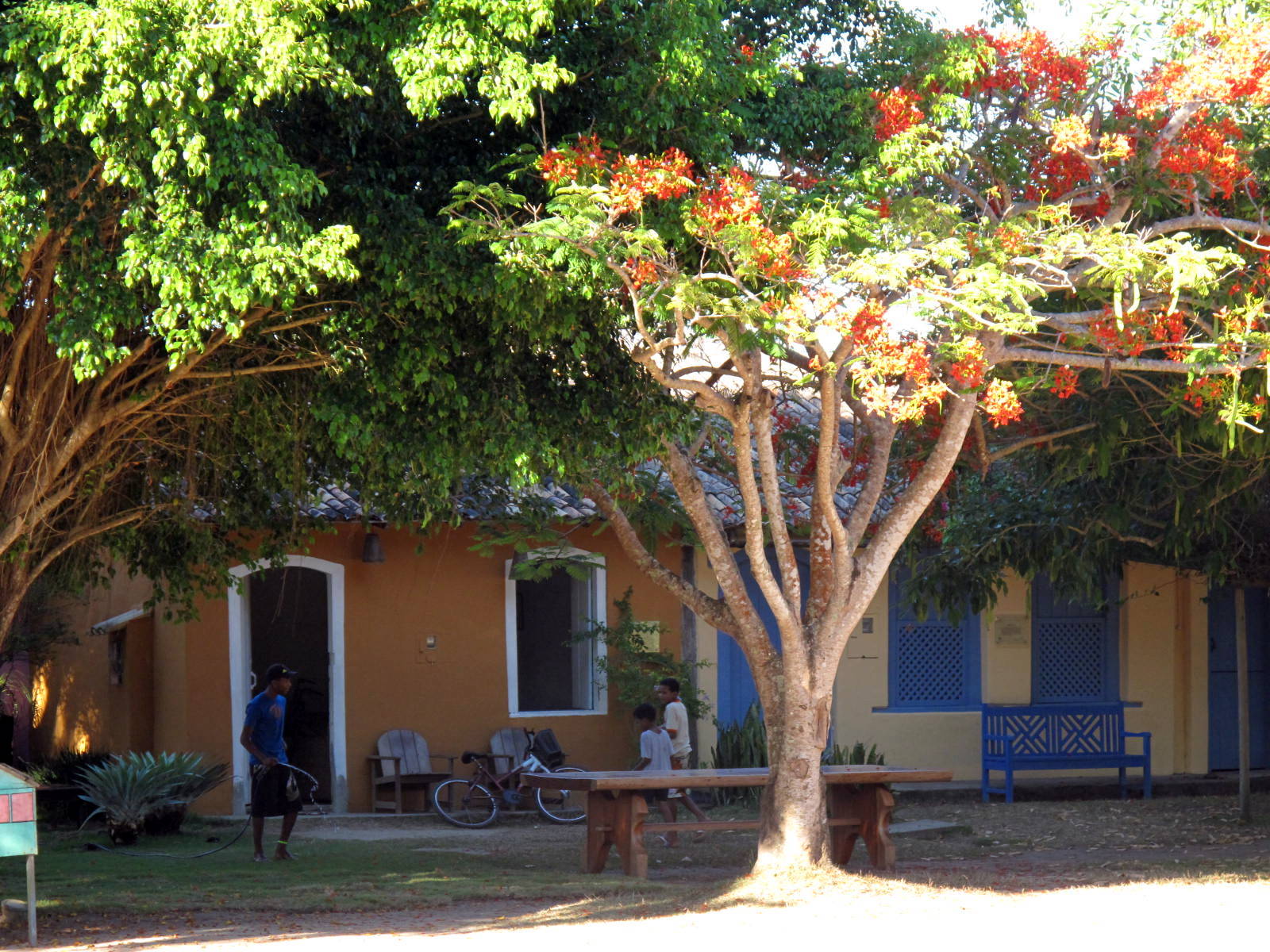 [reveillon+2010+727.jpg]