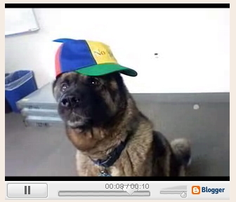 [video-blogger.jpg]