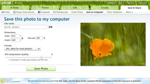 [picnik_photo_saving_mycomputer.JPG]