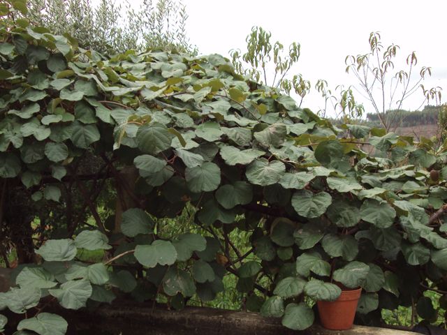 [DSC01903.jpg]