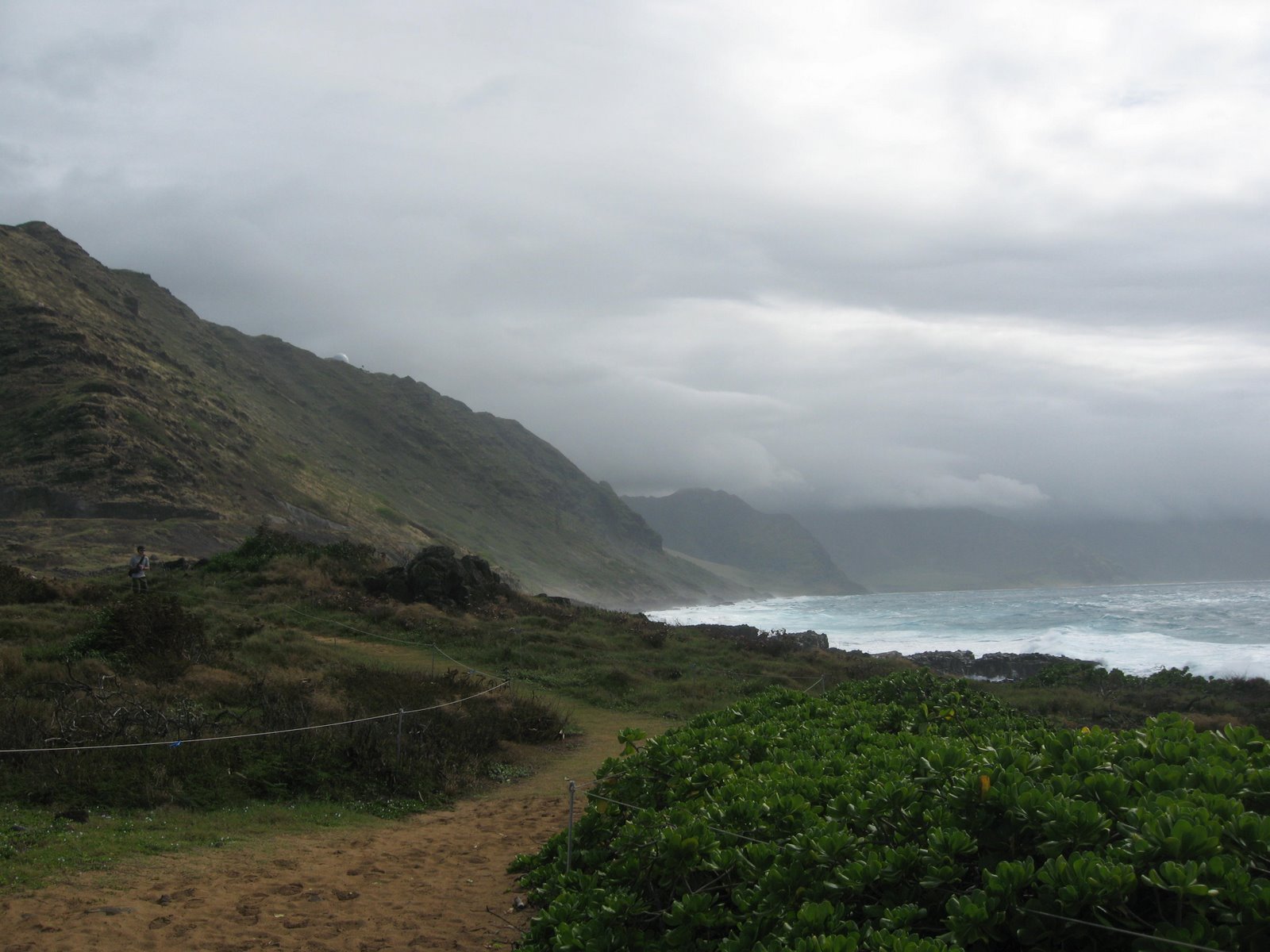 [IMG_0279.JPG]