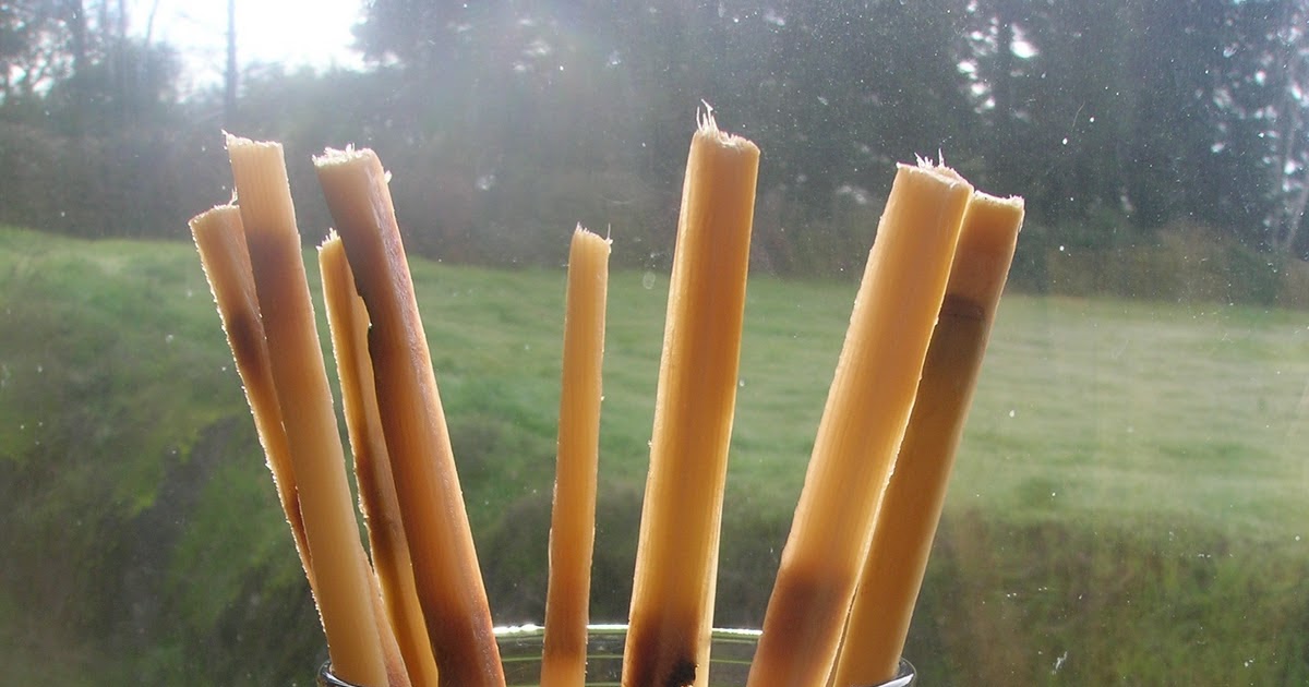 Musings of A Kitchen Witch Sugar Cane Sticks