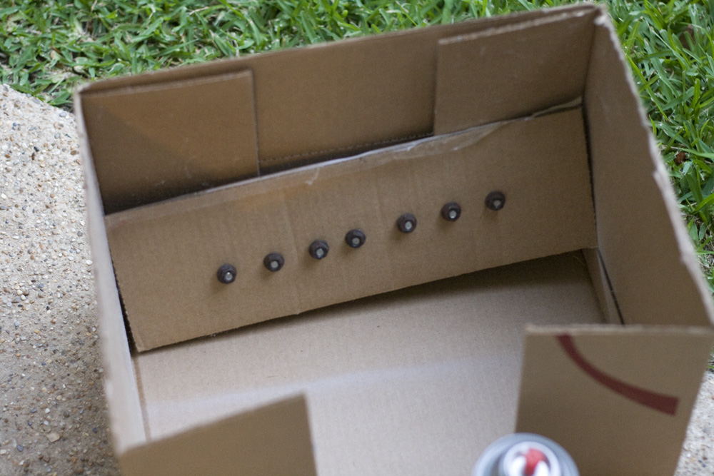 Lydia's Innovations and Just Plain Ordinary Ideas How to Paint Nuts