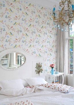 [PIP+EarlyBird_white.jpg]