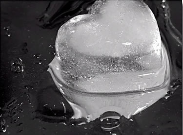 [491946_d8913517.jpg]