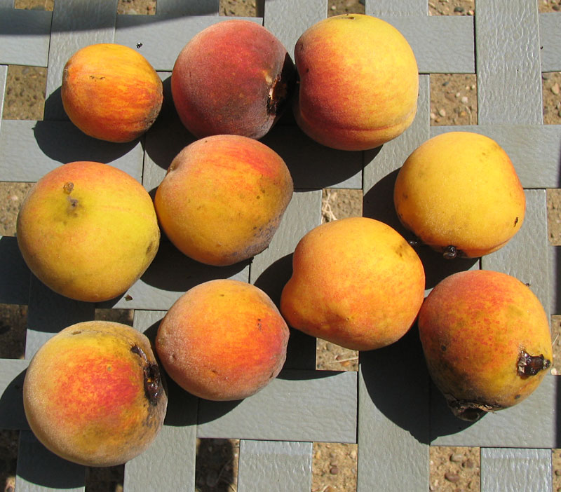 Poppular Photography September 2010