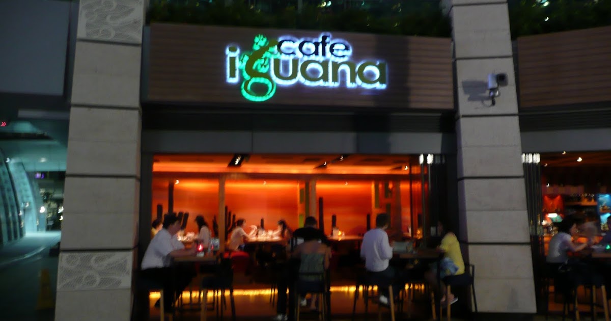 Life as a Bon Vivant Cafe Iguana Elements