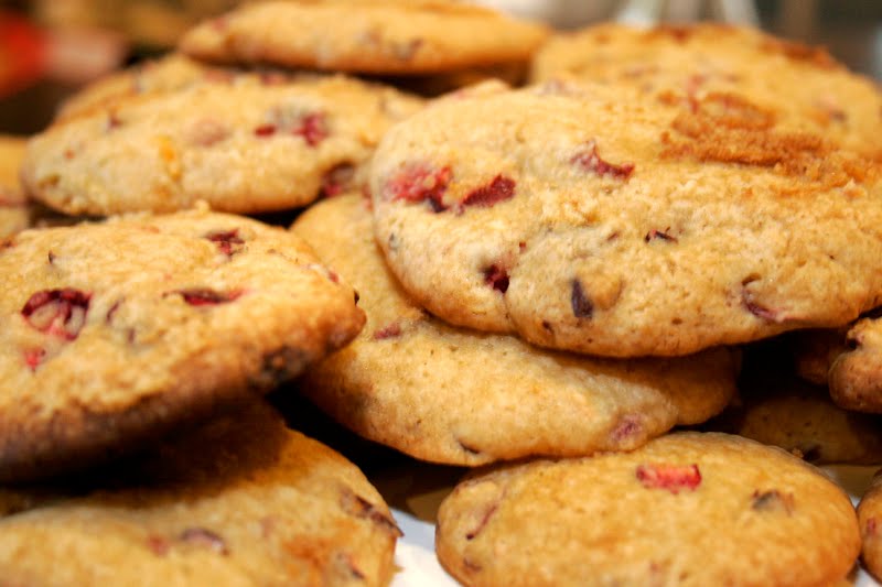 [cranberry+cookies_resize.jpg]