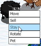 Stay.jpg