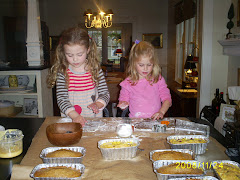 making gingerbread squirrels