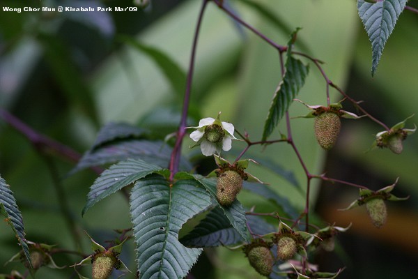 [IMG_4864-SMALL.jpg]