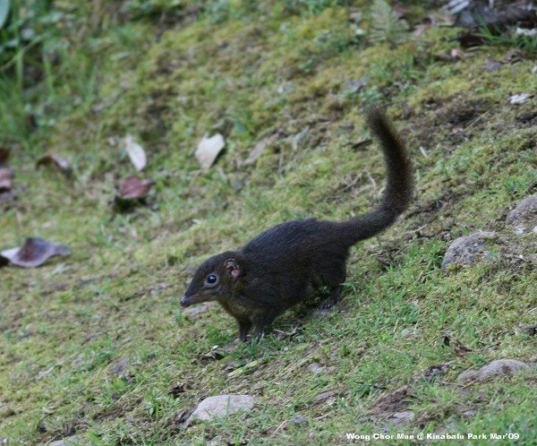 [IMG_4892-SMALL.jpg]