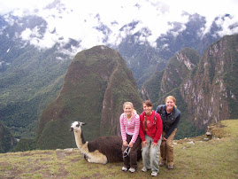 Our llama buddy at Machu Picchu