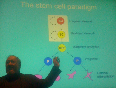 Noted stem cell scientist Irving Weissman Stanford University 