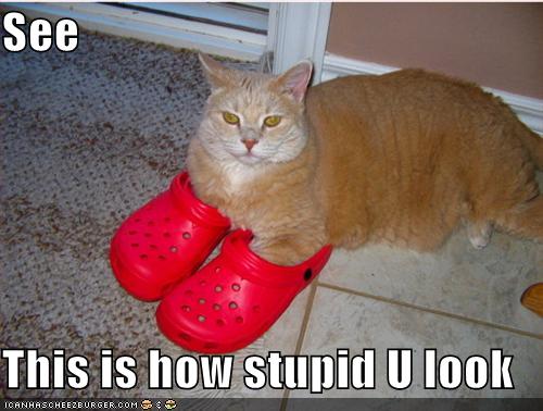 [funny-pictures-red-shoes-cat-stupid.jpg]