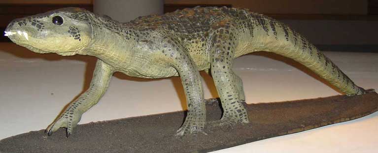 [mariliasuchus.jpg]