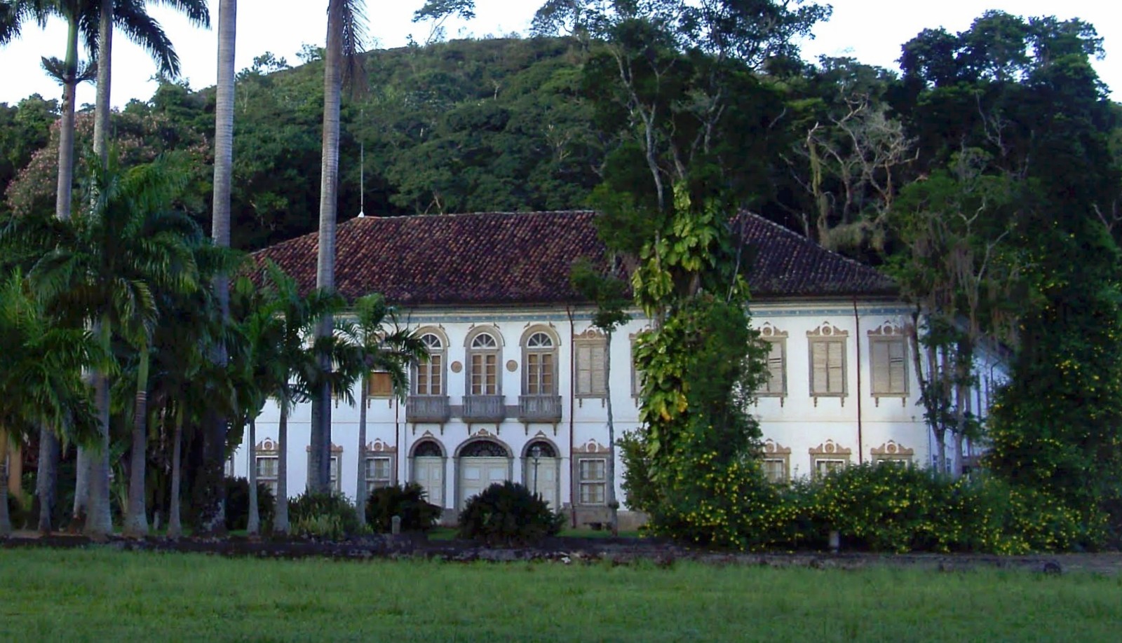 Rio Das Flores
