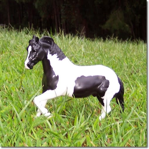 Blue Oak Stables: Breyer Cochise