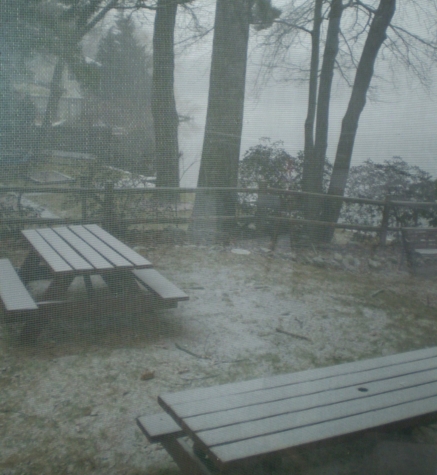 [12-20-08+snowstorm.jpg]