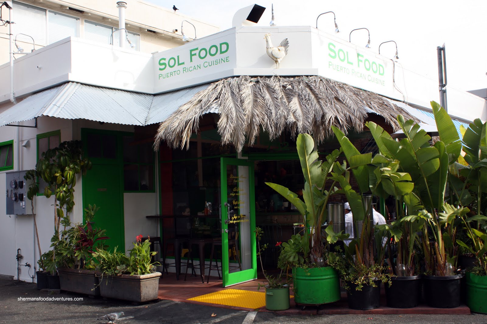 Sherman's Food Adventures Sol Food