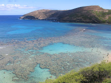 Reefs in Hawaii