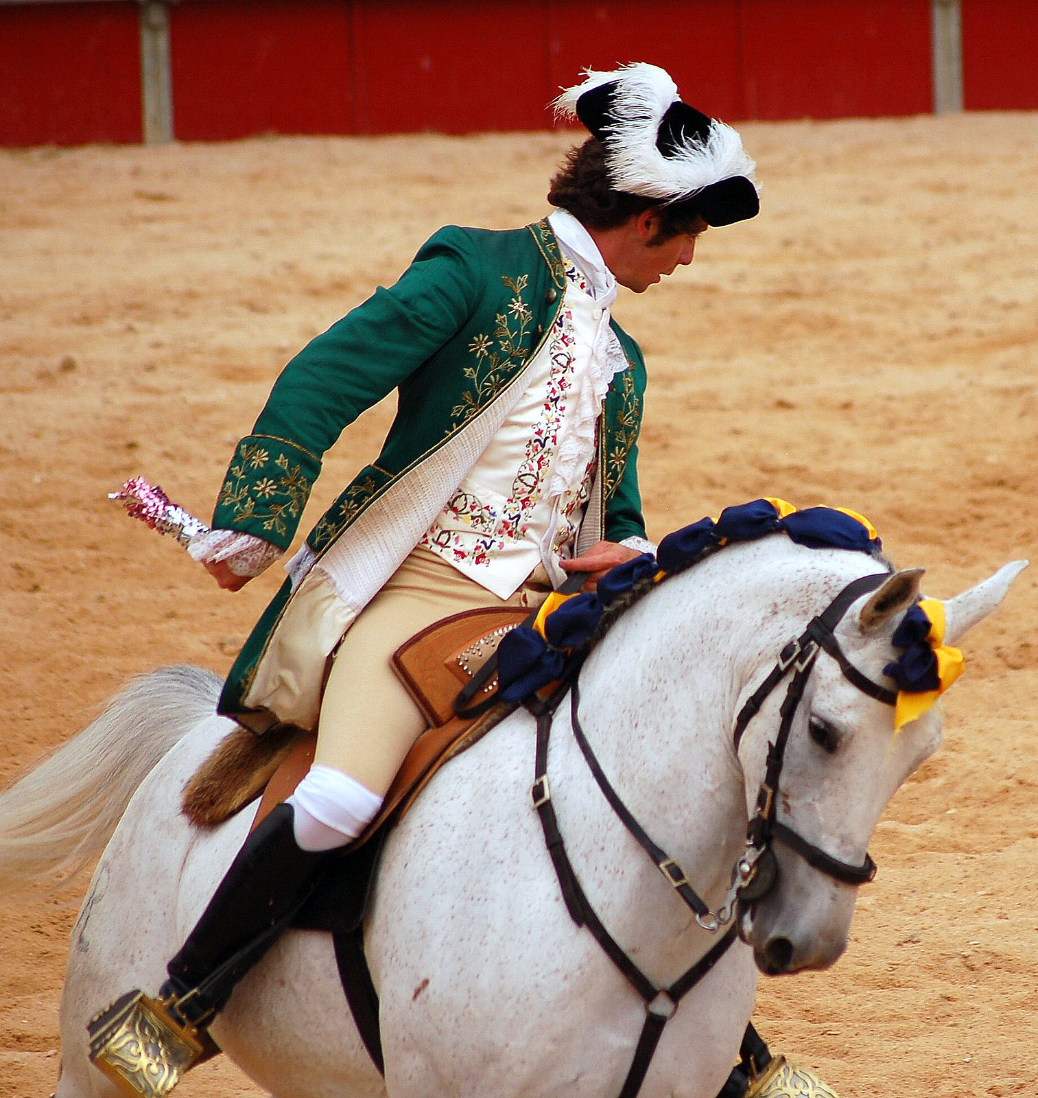 [DSC_9693.JPG]