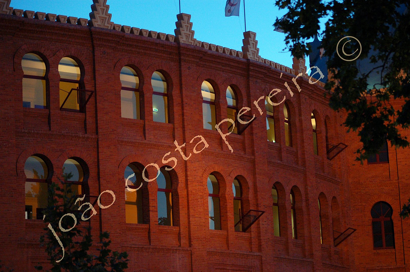 [DSC_6799.JPG]
