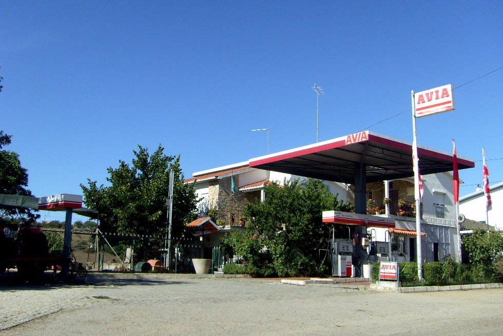 [S7302415.JPG]