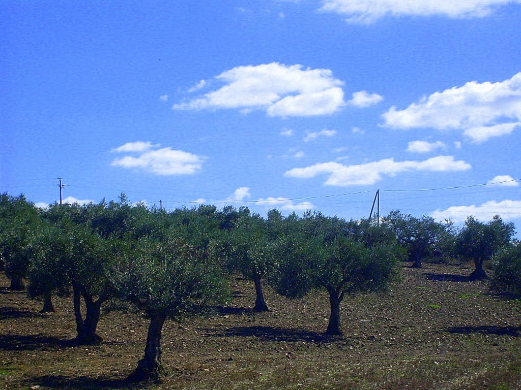[Reigada_Out2009+069.jpg]