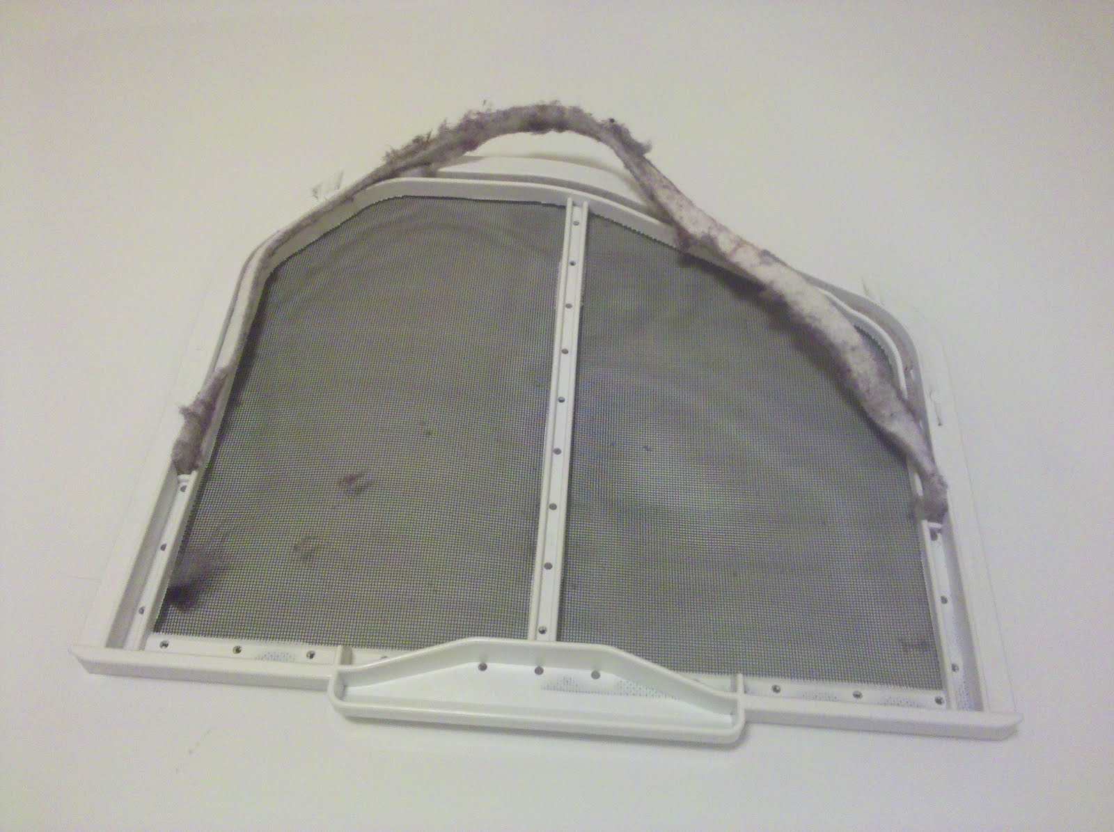 Adam and Amy O[n]line Project 365 Day 285 Lint Trap